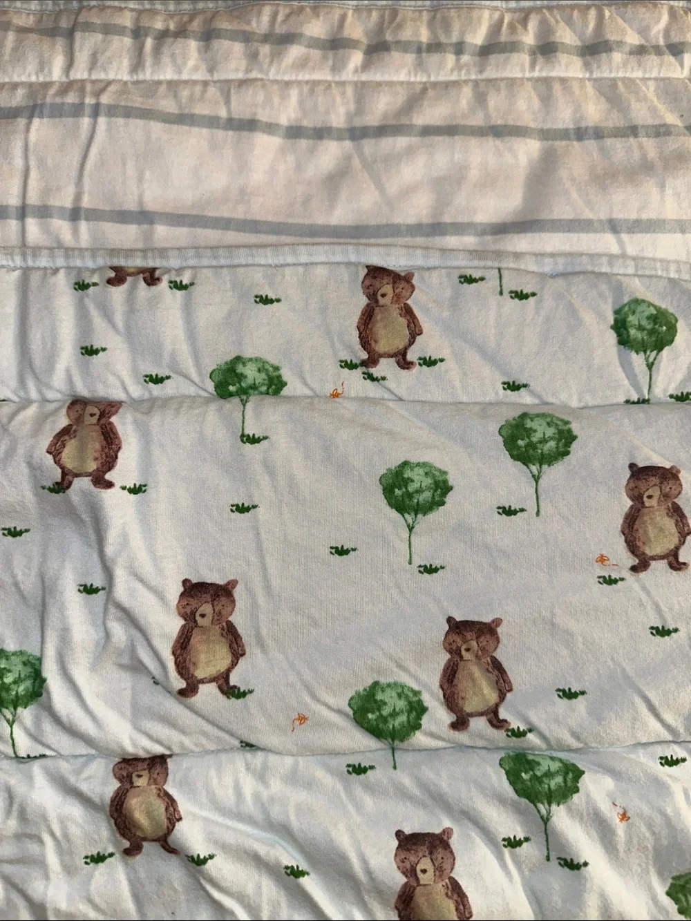 Burt’s Bees Reversible Baby Blanket with Green and Brown Bear Print